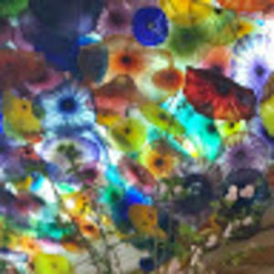 Meet your Posher, Joanie